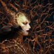 Illustration for article titled Tree Queen